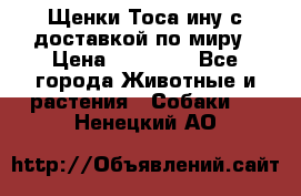 Щенки Тоса-ину с доставкой по миру › Цена ­ 68 000 - Все города Животные и растения » Собаки   . Ненецкий АО